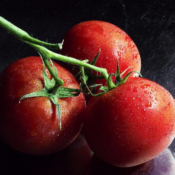 유기농 방울토마토